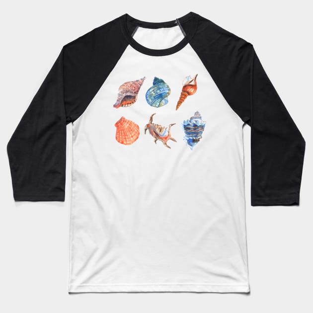 Shell Collection Baseball T-Shirt by Mako Design 